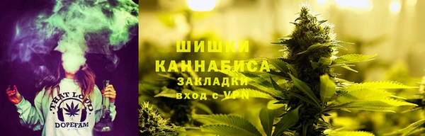 метадон Инта