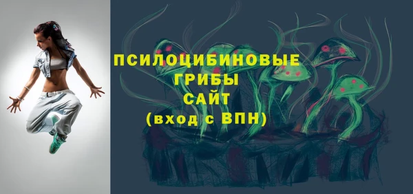 метадон Инта