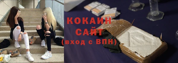 метадон Инта