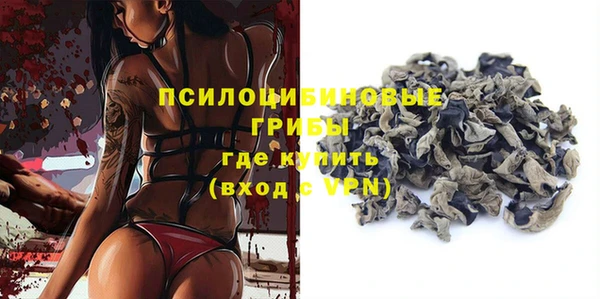 метадон Инта