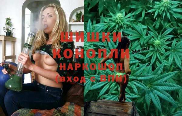 метадон Инта