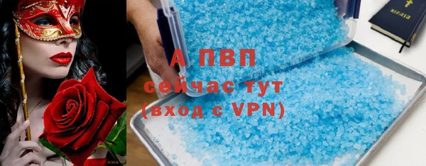 крисы Магас