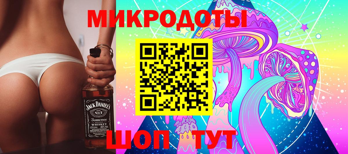 Галлюциногенные грибы Psilocybine cubensis Кандалакша